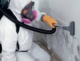 Best Mold Removal for HVAC Installations  in Schler Park, IL